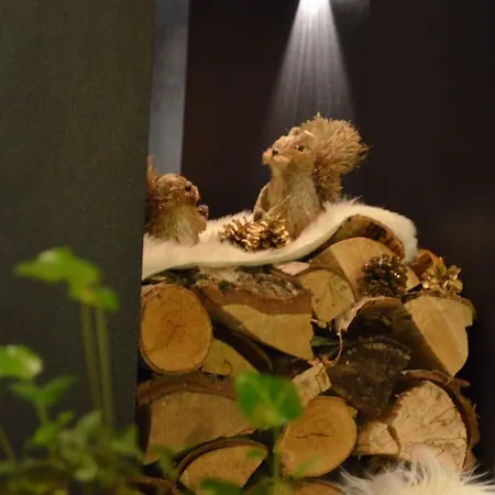 Wolfschlucht فندق 3*