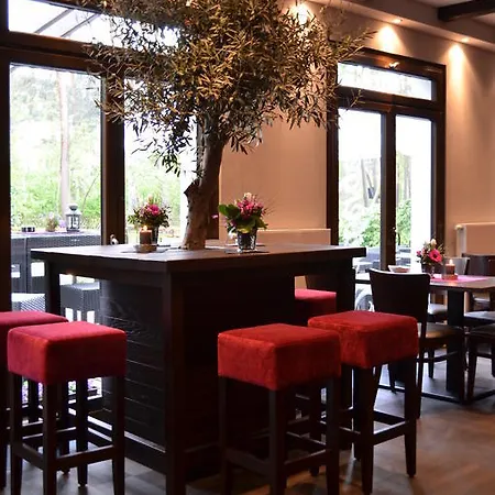 Wolfschlucht رودغاو