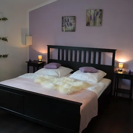 فندق Wolfschlucht رودغاو