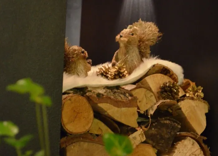 Wolfschlucht Hotel 3*